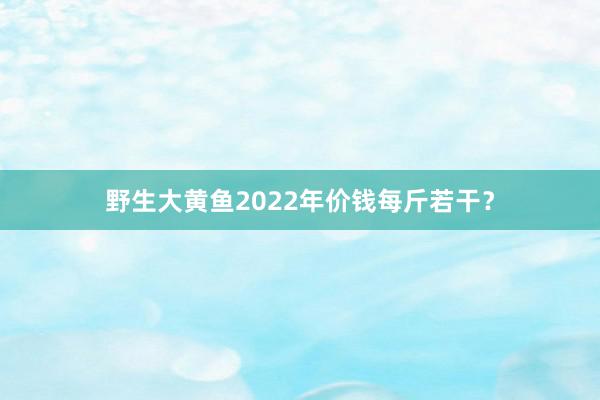 野生大黄鱼2022年价钱每斤若干？